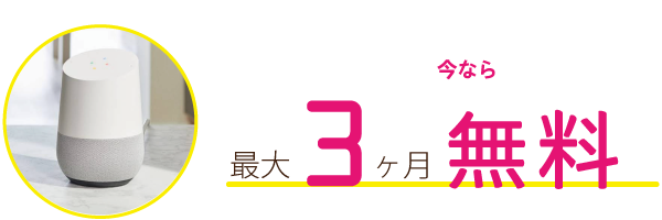 今なら最大3か月無料！